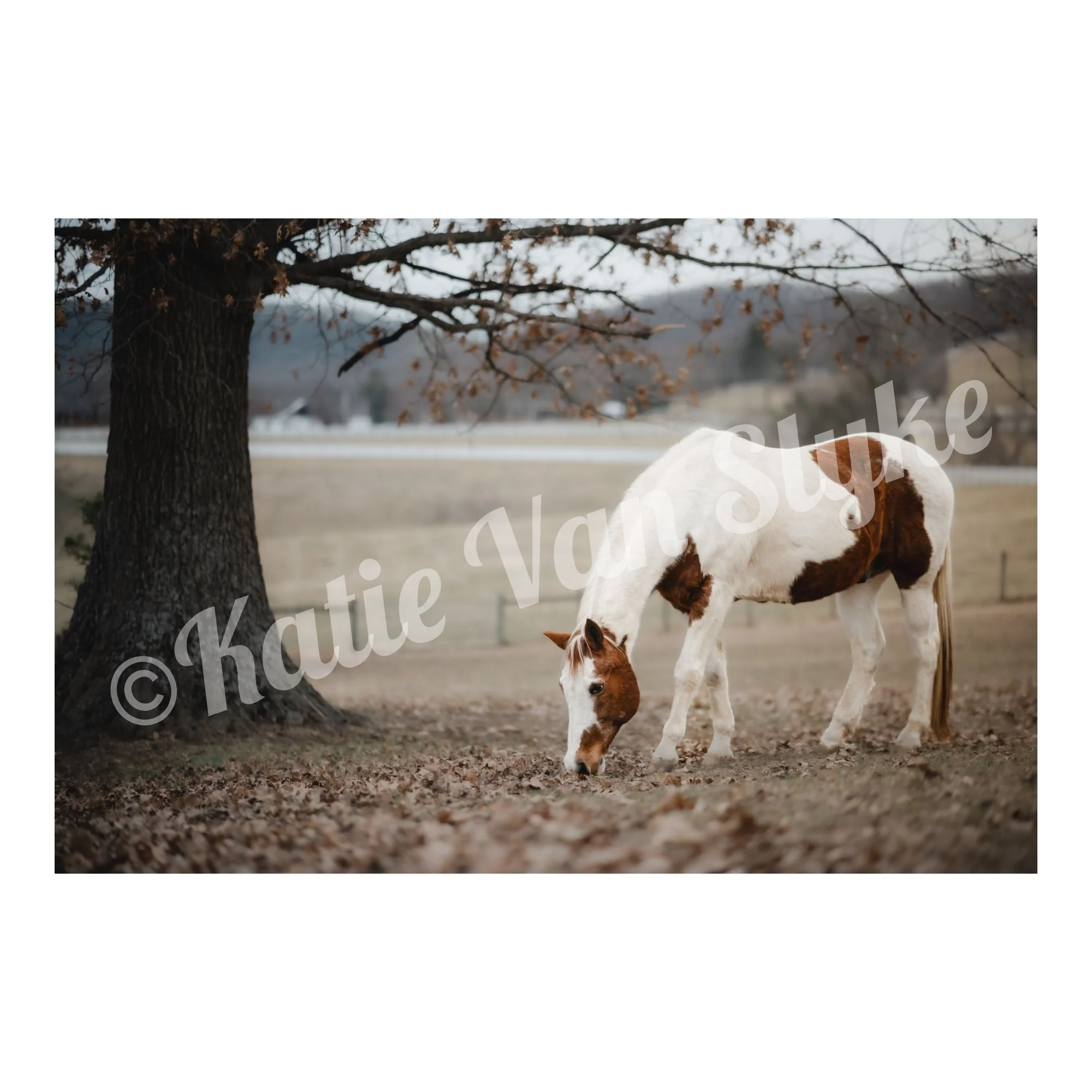 Bo Wide Digital Download by Katie Van Slyke™