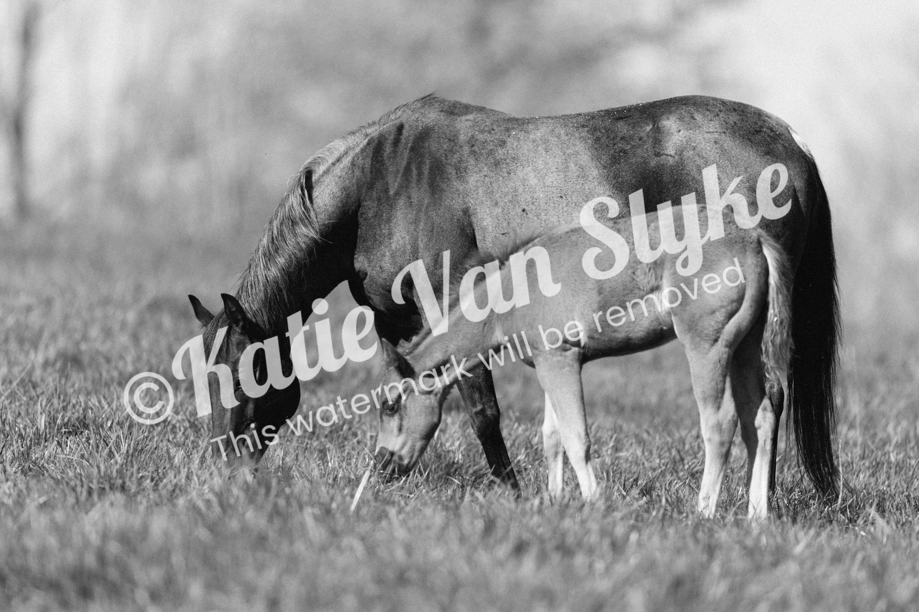 Ethel and Ruby Digital Download by Katie Van Slyke
