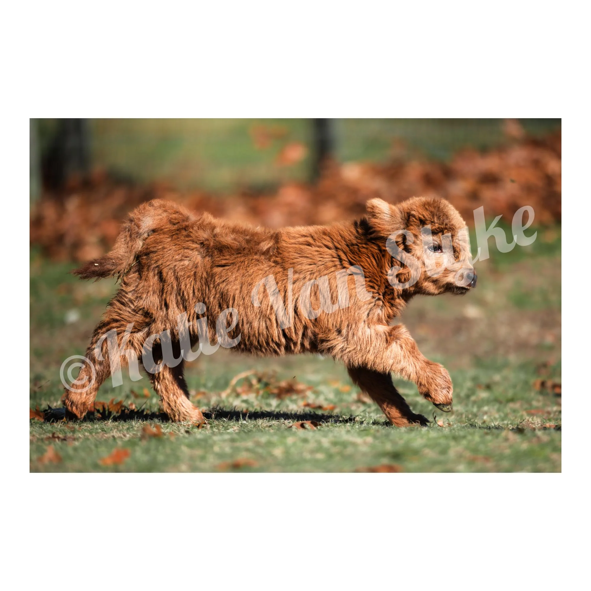 Peanut Running Digital Download by Katie Van Slyke™