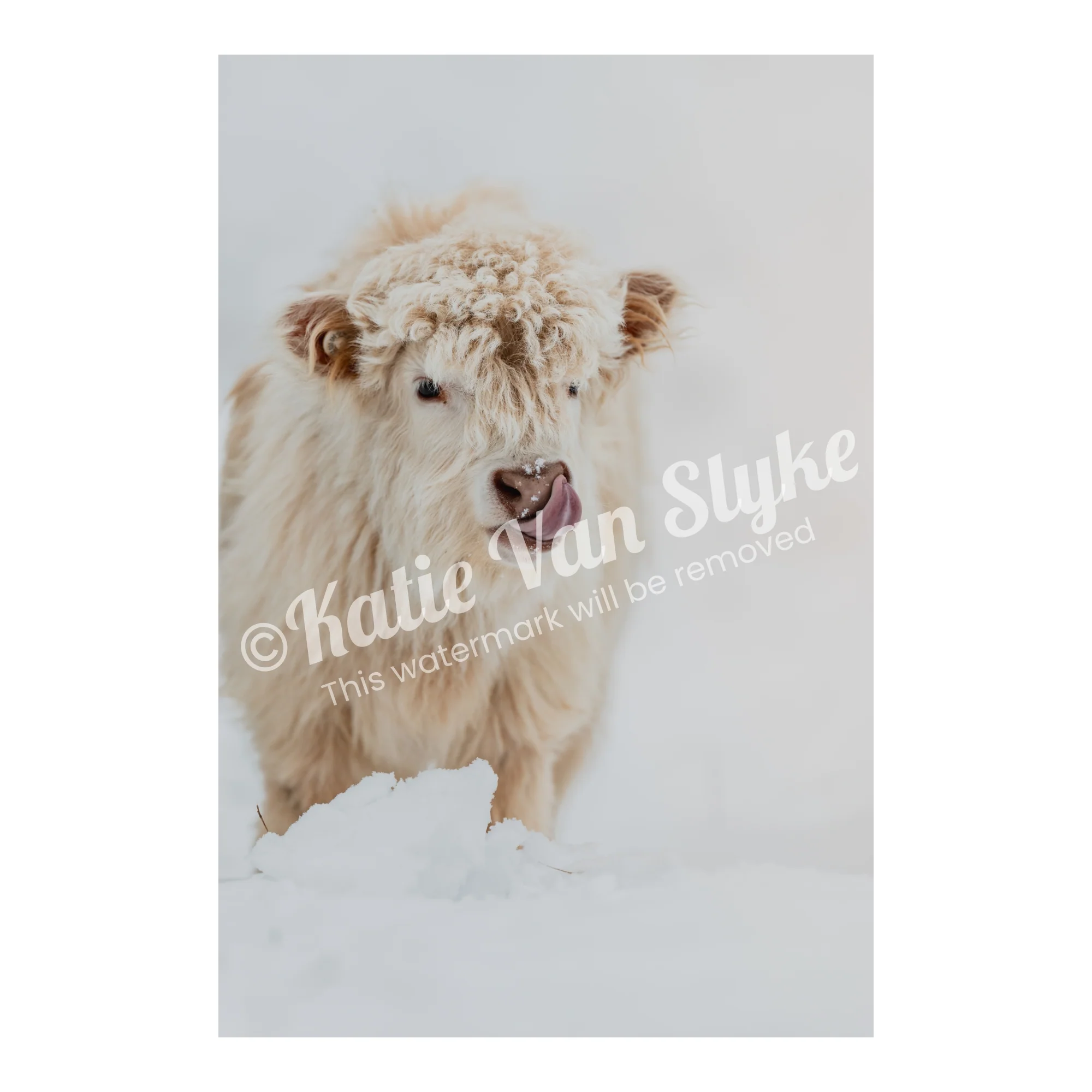 Pearl Snow Digital Download by Katie Van Slyke™