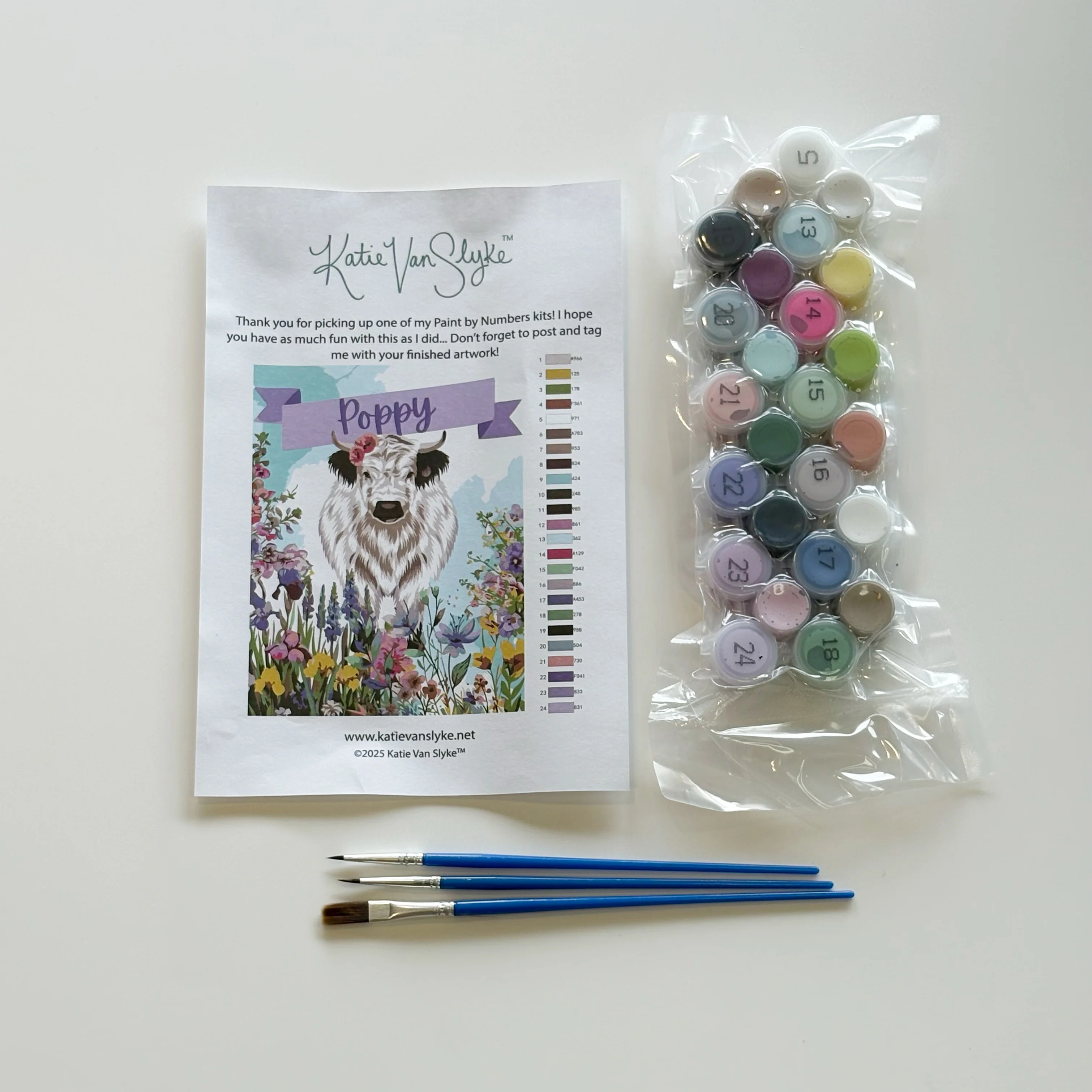 Poppy Paint By Number Kit by Katie Van Slyke® - Image 4