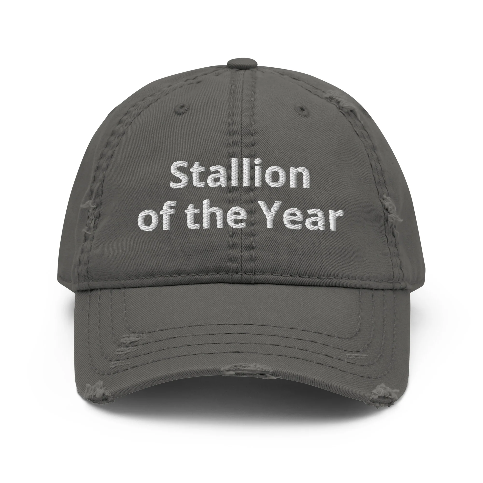 Stallion Dad Hat by Katie Van Slyke™ - Image 5