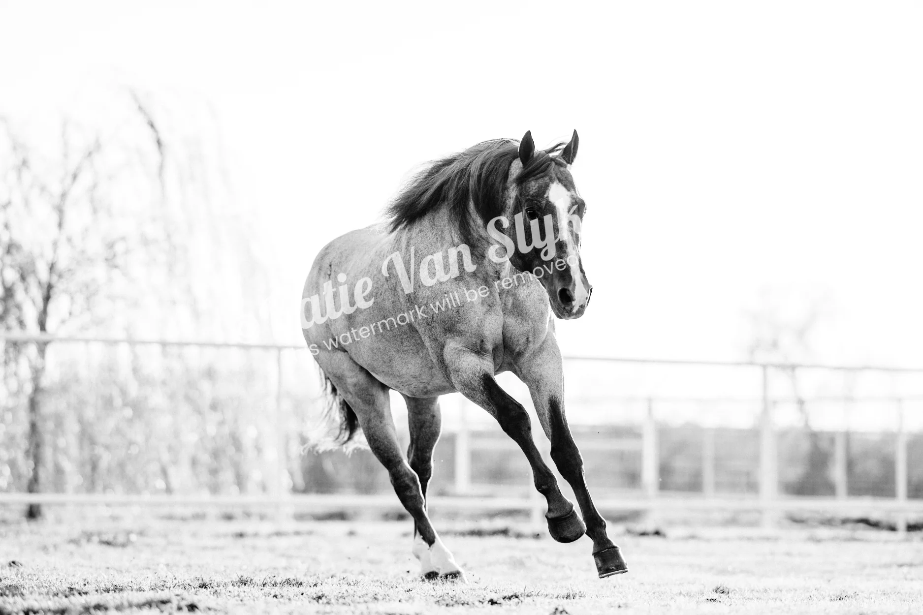 VSCR Running Digital Download by Katie Van Slyke®
